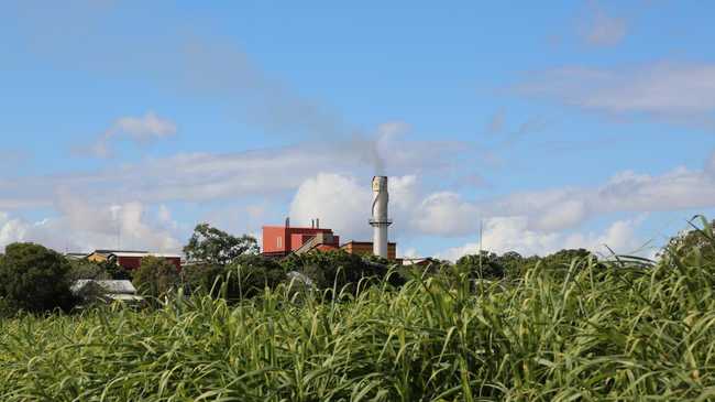 MSF Sugar Maryborough Region Mill. Photograph by Maggie Zemek