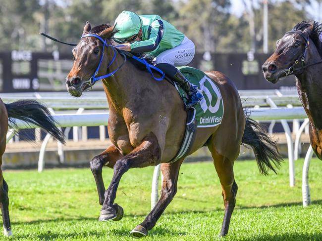 Shoshisha is a very promising filly and can land anoter win at Rosehill. Picture: Bradley Photos