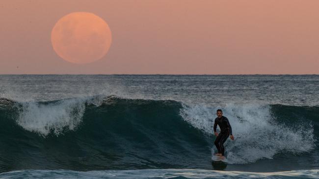 A surfer rides a wave as a super blood moon rises above the horizon at Manly Beach on Wednesday night. Picture: Getty Images