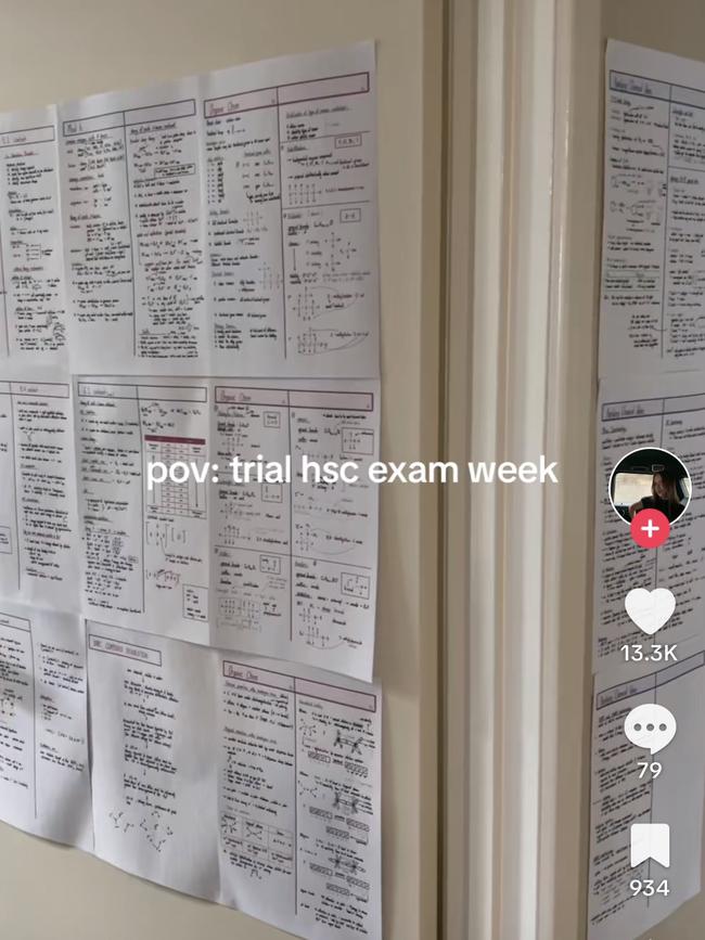 Jasmine Withford, 18-year-old star student at Newcastle Grammar School, shares her HSC study tips with the world via TikTok.