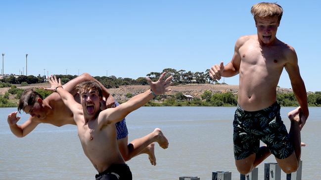 Hot Weather at Murray Bridge - Tyson Naismith, 16, Ollie Bartlett,16, 0491747900, and Cooper Wilson,16, keeping cool in the river. 31 January 2025. Picture: Dean Martin