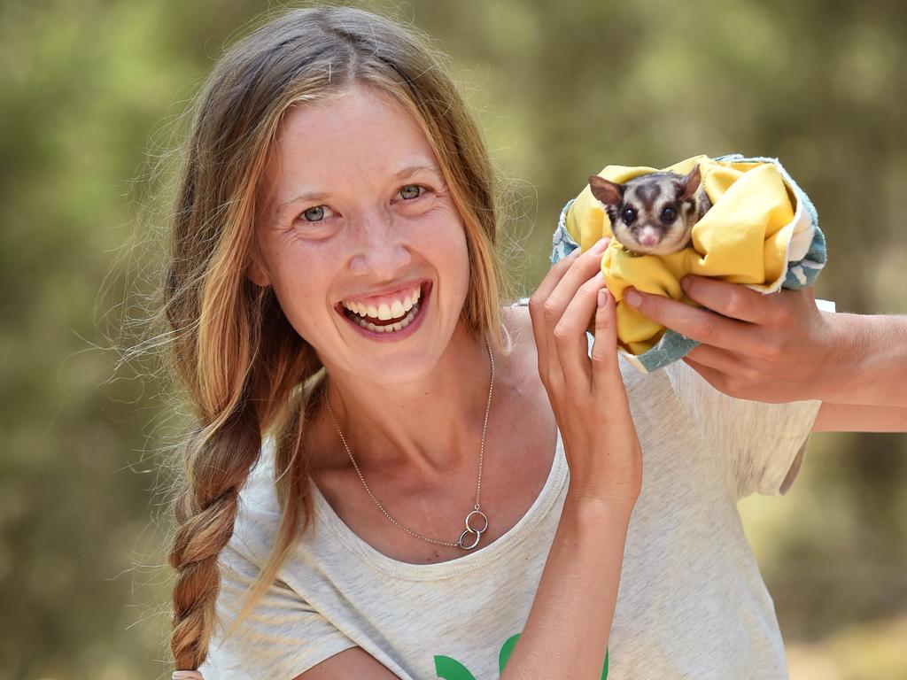 Murray-Bartlett with Steve the squirrel glider. Picture: Nicki Connolly