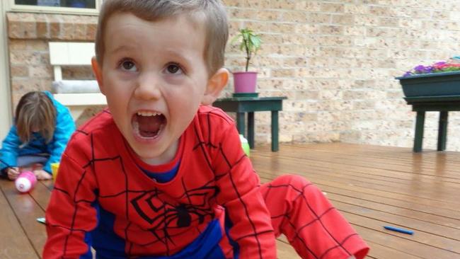 William Tyrrell disappeared more than a decade ago. Picture: Supplied