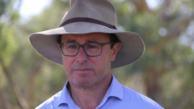 Nationals leader David Littleproud is expected to hold onto his position. Picture: Gera Kazakov