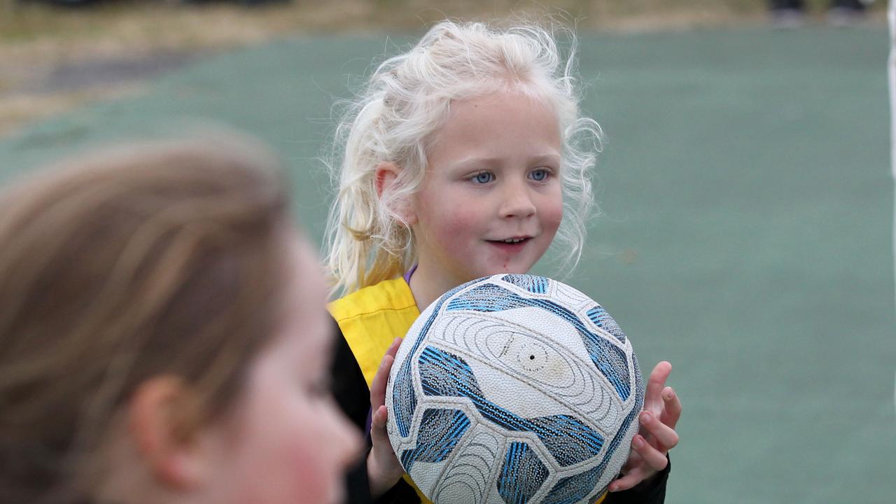 PHOTOS: Junior Netball at Wyong | Daily Telegraph