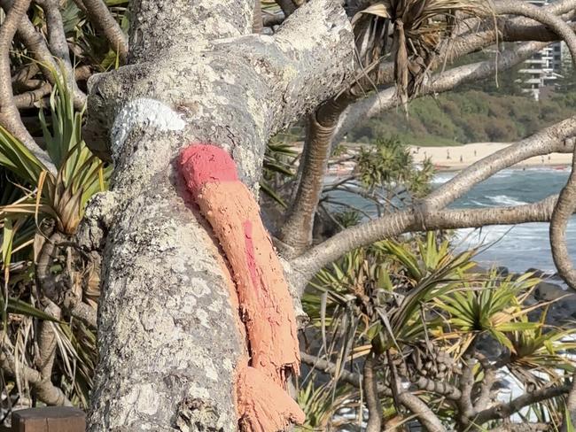 Burleigh Heads national park willy walk defaced