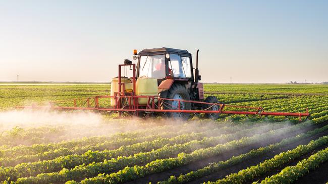 Surging ahead: Soybean meal is popular as an affordable source of protein for livestock.