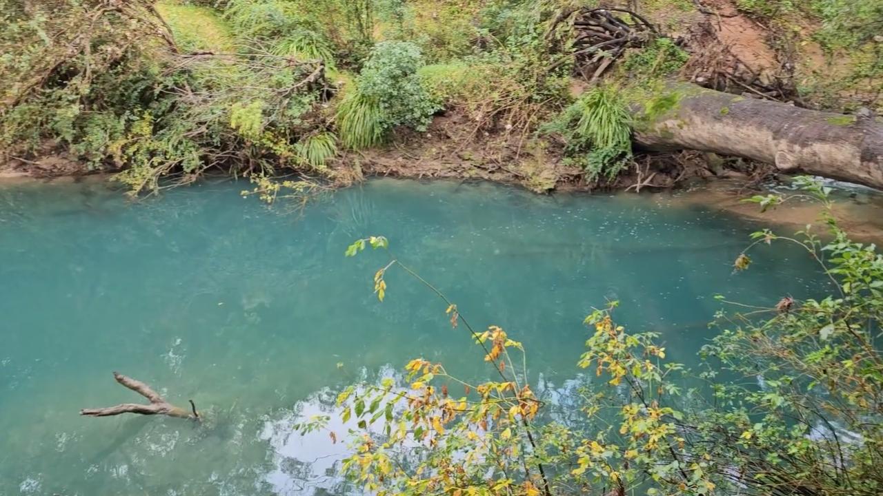 DGL Manufacturing ordered to clean up Toongabbie Creek after waterway ...