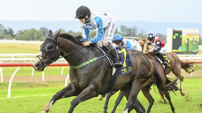 Sumo Star returns to Hawkesbury chasing another win. Picture: Bradley Photos