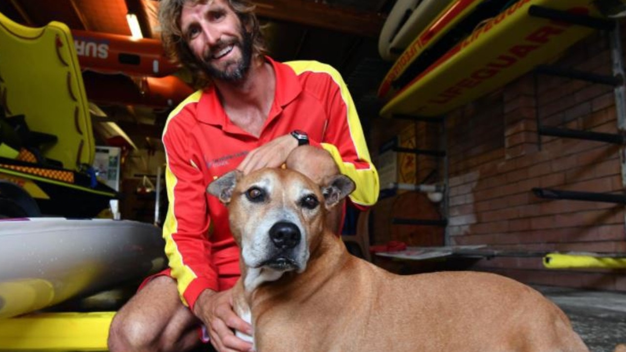 Sunshine Coast Lifeguard Corey Jones with Mitch who was rescued from a boat off Caloundra. Picture: Patrick Woods.