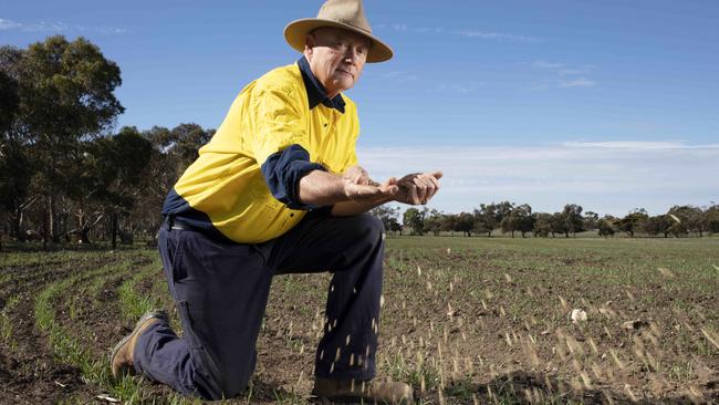 Yorke Peninsula farmer Bill Moloney on his Arthurton property. Picture: Emma Brasier