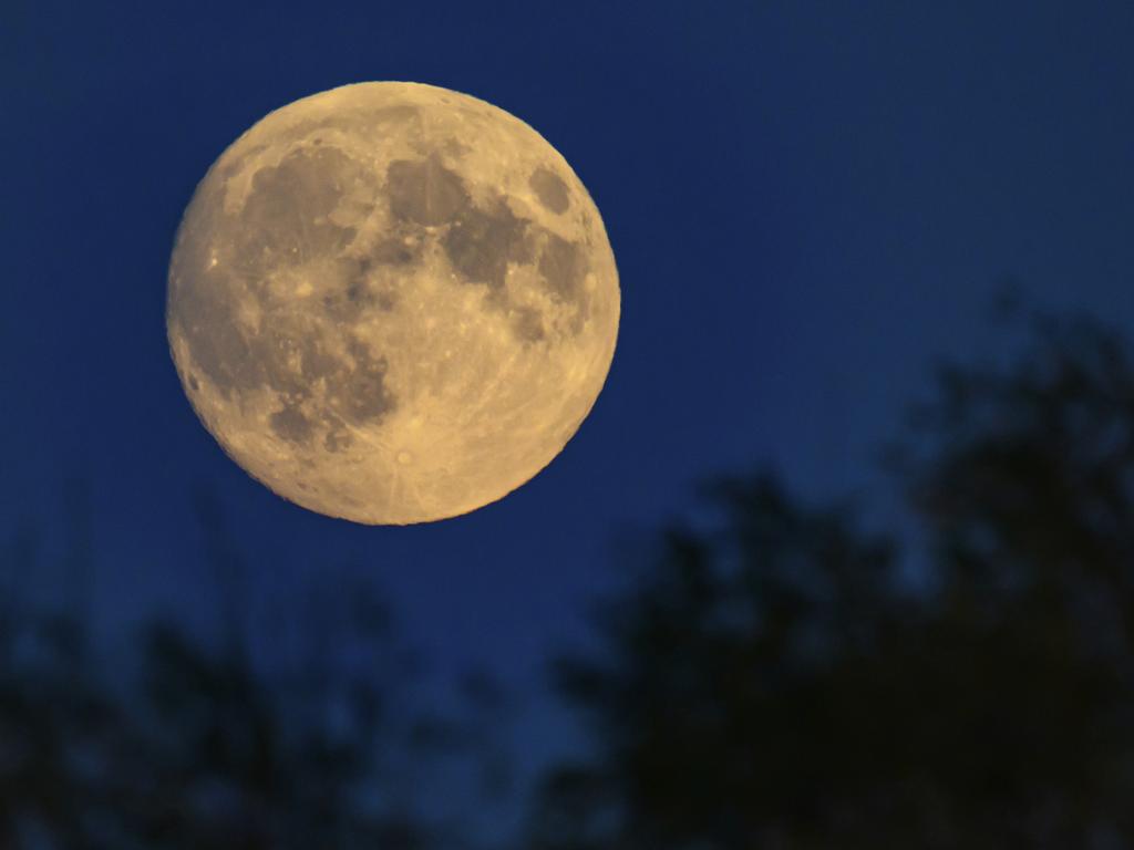 Lietzen, Germany. Picture: Patrick Pleul/dpa via AP