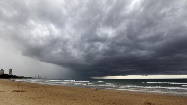 At least 20 swimmers stung by blue bottles on the Gold Coast beaches on ...