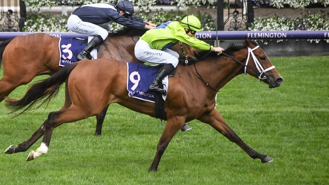 Stretan Angel is out to continue the fillies’ recent strong record in the Coolmore. Picture: Reg Ryan — Racing Photos.