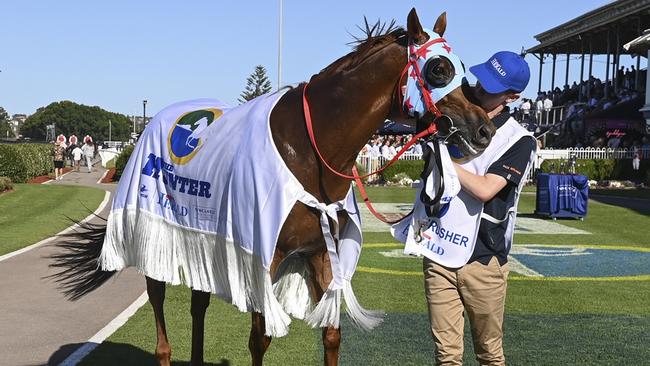 Strapper Brave Pride gives his favourite horse, Coal Crusher, a kiss after winning The Hunter at Newcastle. Picture: Bradley Photos