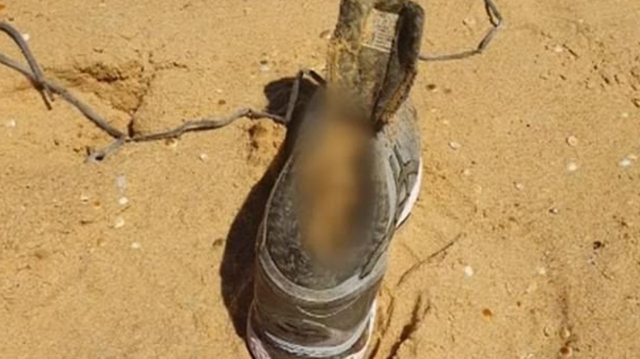 Melissa Caddick’s foot was found washed up on a beach more than 400km south of Sydney