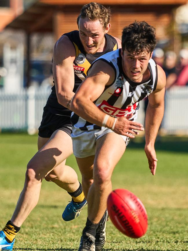 How the Adelaide Footy League season will finish is still up in the air. Picture: Matt Loxton