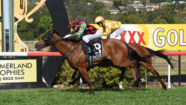 Kirk Matheson will ride Bella Boss at the Ballina Jockey Club TAB meeting tomorrow. Photo Marc Stapelberg