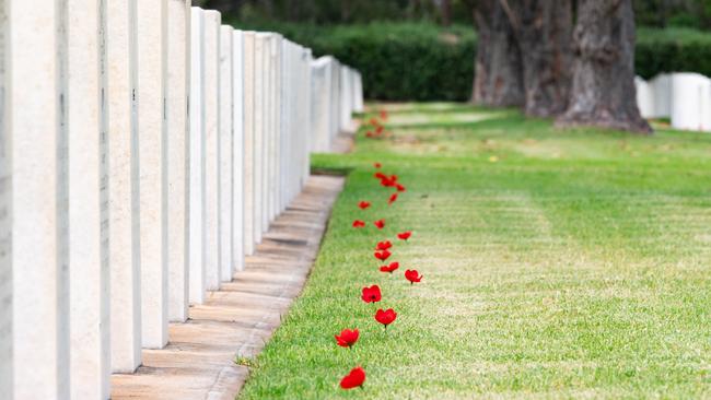 Local school students marked each grave with poppies ahead of the Remembrance Days service. Picture: Morgan Sette