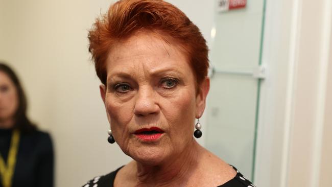 Queensland senator Pauline Hanson. Picture: Gary Ramage