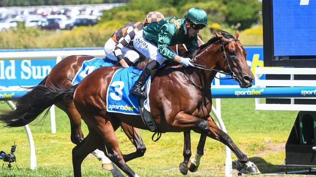 Bodyguard ridden by Mark Zahra wins the Sportsbet Blue Diamond Prelude (C&G) at Caulfield Racecourse on February 10, 2024 in Caulfield, Australia. (Photo by Pat Scala/Racing Photos via Getty Images)