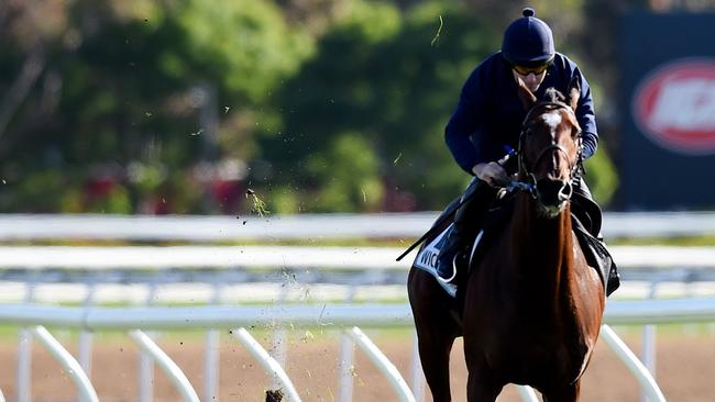 Wicklow Brave was well-backed at Monday’s call of the card. Picture: AAP