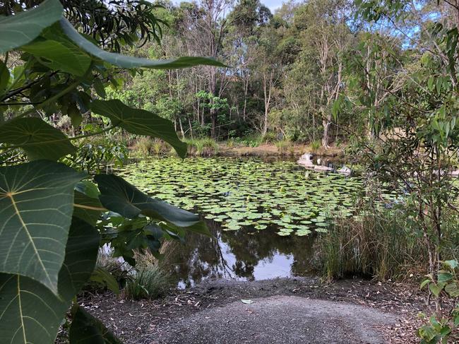 A nice walking track in Gold Coast suburbia, around Molendinar. For Backyard Tourist. Picture: Amanda Robbemond