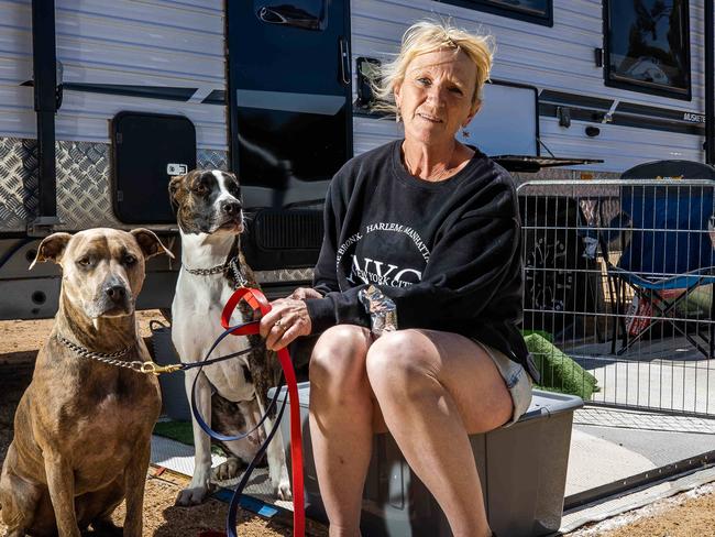 Roz Adams with dogs Tanner and Denim have evacuated from their house boats to the Mannum Football Oval on December 15th, 2022.Picture: Tom Huntleyon December 15th, 2022.Picture: Tom Huntley