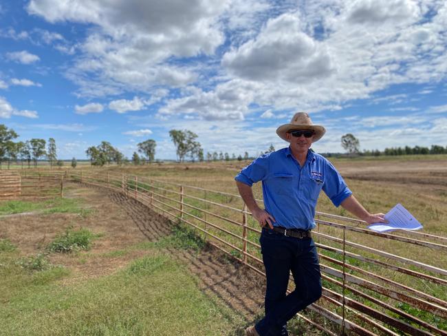 Grazier banking on growing industry with Allora feedlot