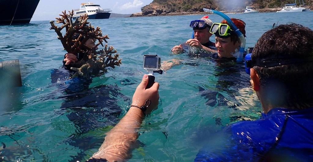 Hanson Snorkels in Reef to Dispel Coral Bleaching, Slammed for Being 1,000km From Affected Area