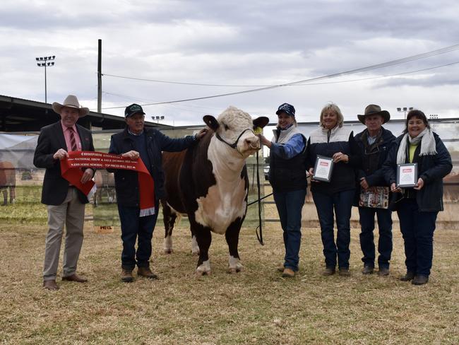 The top price bull at the Hereford National Show and Sale at Dubbo, The Ranch Qualifier. Picture: Rowan McNaught