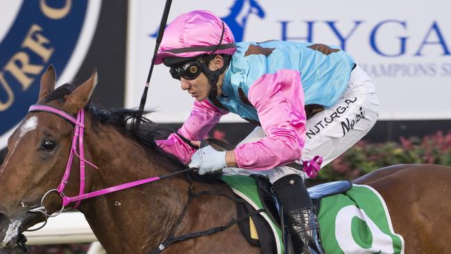 Nozi Tomizawa rides Vetoed at Ballina.