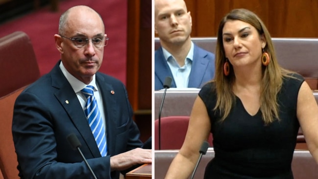 David Van Slams Lidia Thorpes Sexual Assault Claims Au — Australias Leading News Site 