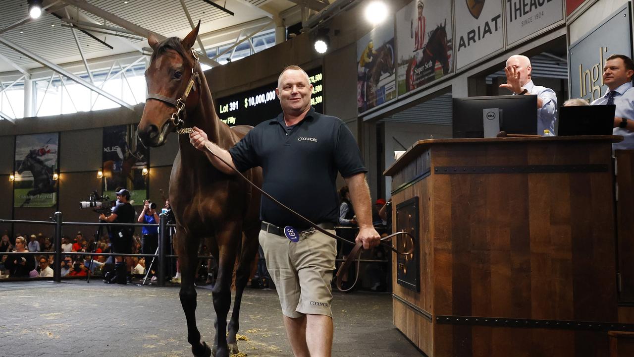 Winx Filly Auction