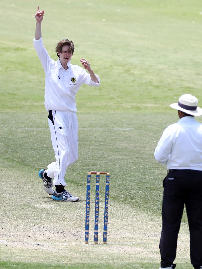 St Laurence's Max Peapell appeals earlier in the season. Picture: Tertius Pickard