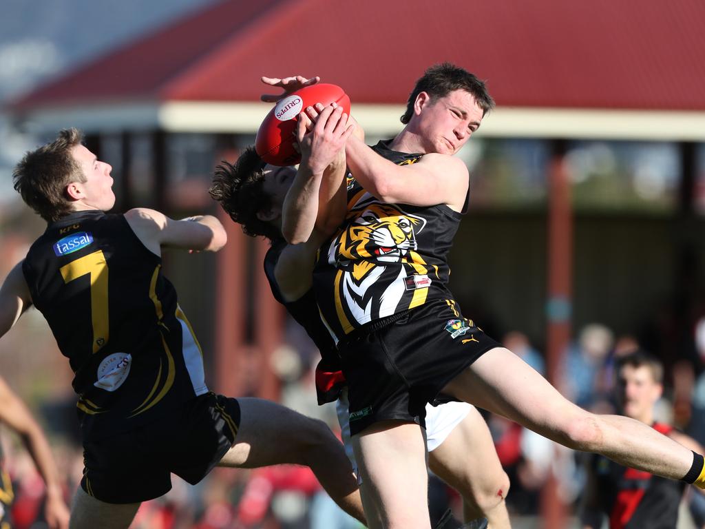 Ambrose Brereton Tigers. TSL grand final Kingborough Tigers V North Launceston. Picture: Nikki Davis-Jones