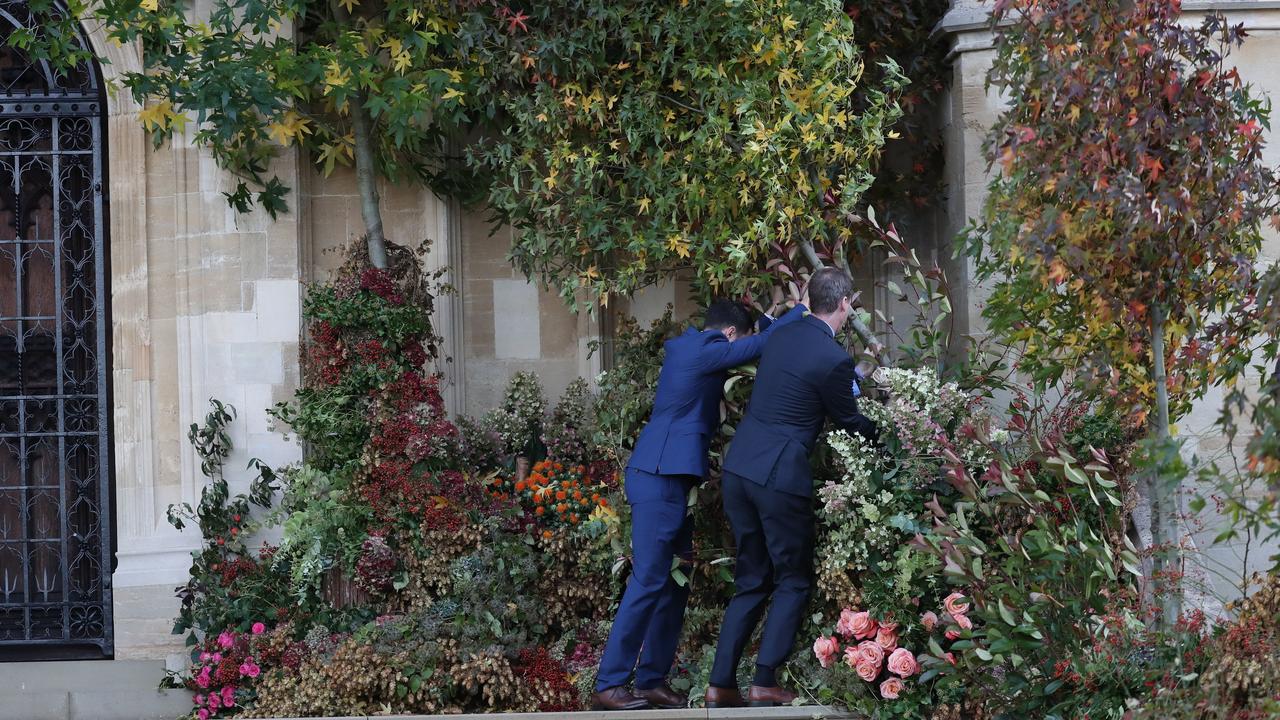 Even the OTT foliage isn’t safe in these winds. Picture: AP