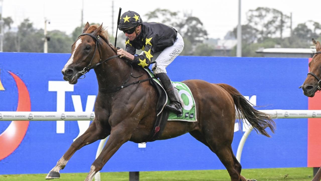 Nash Rawiller rides Belvedere Boys to victory in the TAB Country Classic at Rosehill Gardens on November 30, 2024. Picture: Bradley Photos