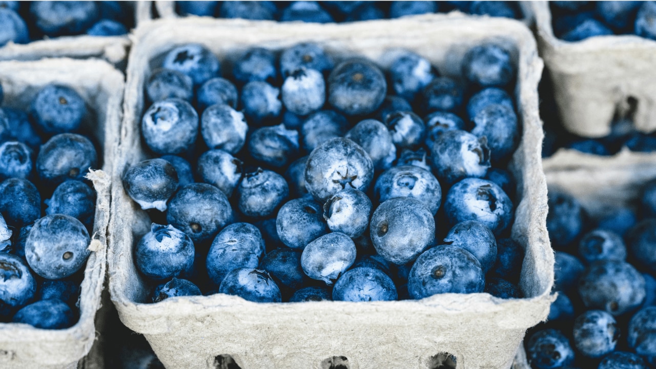 <h3><span>#4. Blueberries</span></h3><p><span>Whilst all berries are good for us, it is blueberries that stand out when it comes to health and longevity with a number of studies showing that the high antioxidant content of blueberries appears to help protect the brain from cognitive decline. Not only are blueberries low in calories, but also rich sources of Vitamin C, Vitamin K, potassium and dietary fibre. Even better, fresh berries have also started to return to much more affordable prices which means they can now be enjoyed without breaking the budget as a light snack in between meals; as a fibre boost to smoothies and juices, or as a sweet treat served with a little Greek yoghurt and seeds or nuts.</span></p>