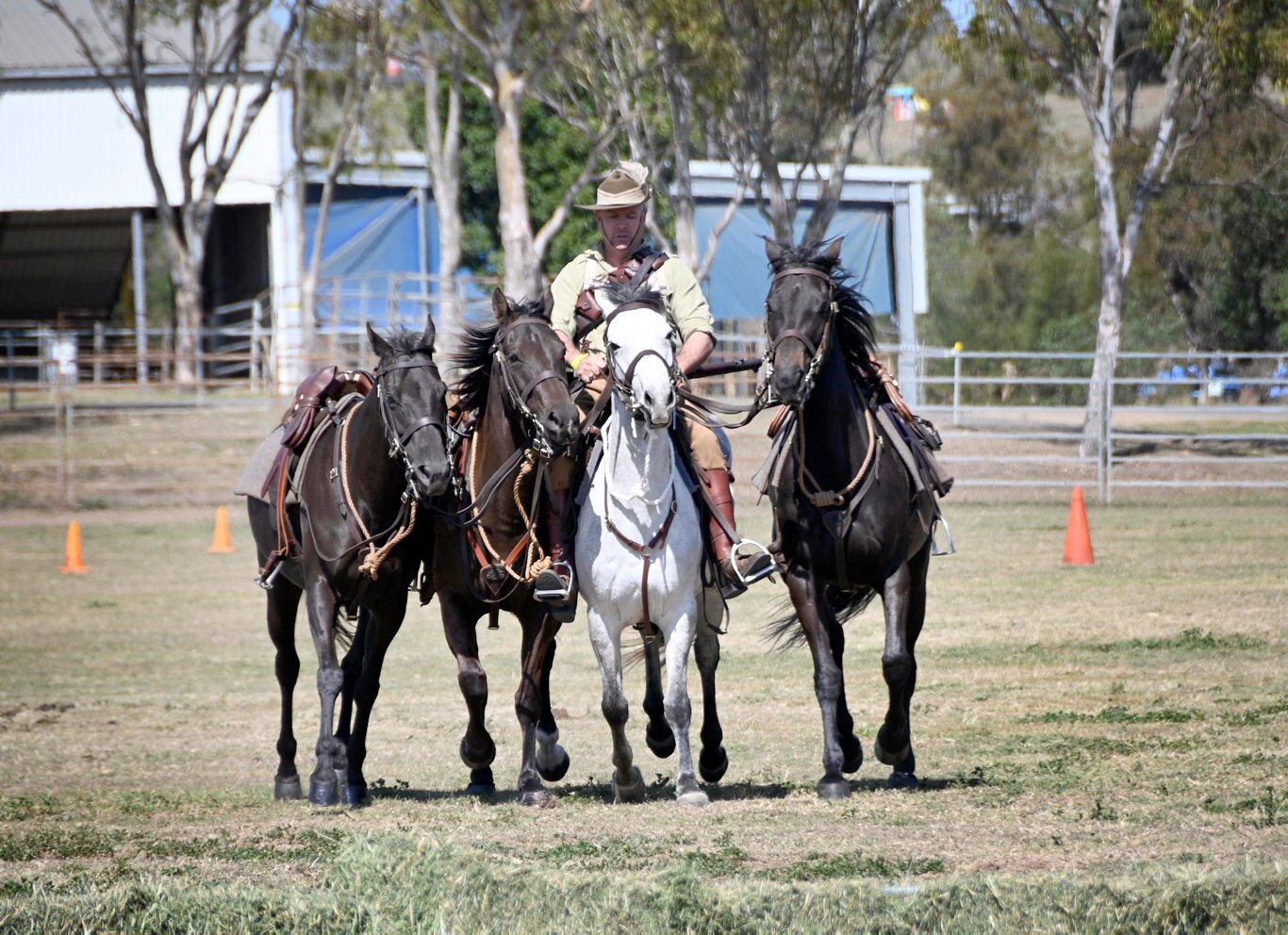 Queensland Mounted Infantry Challenge at the Toowoomba Showgrounds.