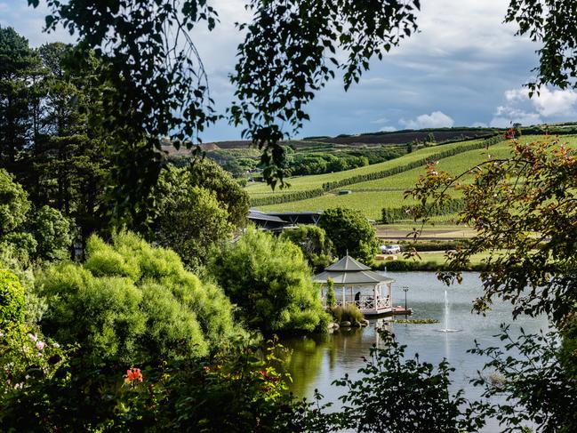 Josef Chromy Wines. The estate includes a 61 hectare vineyard and state of the art winery, producing elegant wines from premium cool climate fruit. PICTURE: Andrew Wilson