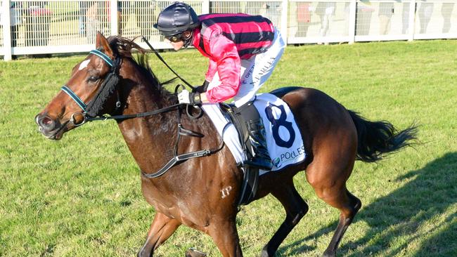 Press Down ridden by Neil Farley wins the Pooles Accountants Golden Topaz at Swan Hill Racecourse on June 07, 2024 in Swan Hill, Australia. (Photo by Brett Holburt/Racing Photos via Getty Images)