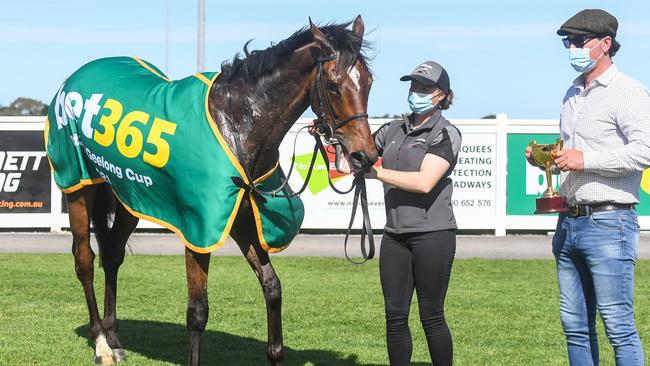 Tralee Rose is fresh off a win in Geelong. (Brett Holburt/Racing Photos via Getty Images)