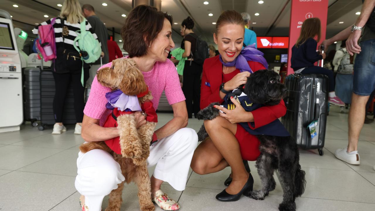 Virgin Australia Group CEO Jayne Hrdlicka at Melbourne Airport after announcing plans to be the first Australian airline to allow small pets on board flights. Picture: Alex Coppel