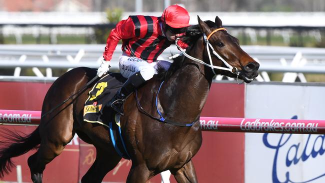 Smart Melody wins the Thousand Guineas Prelude. Picture: AAP