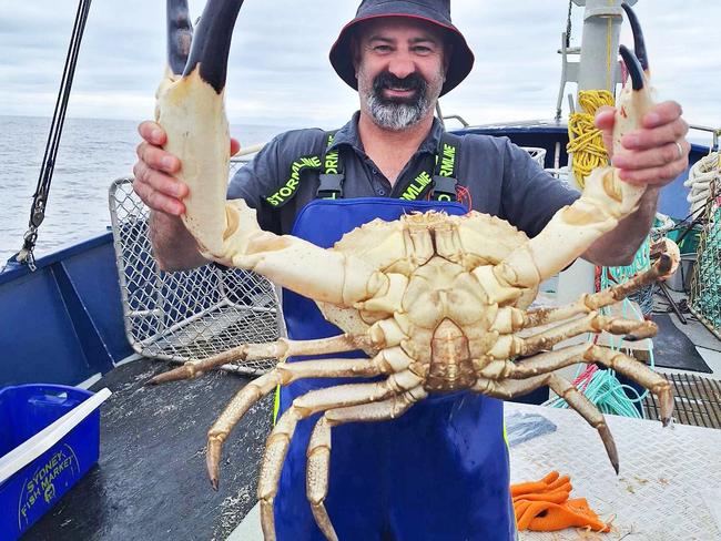 Brendan 'Squizzy' Taylor long time fisherman and of TV show Aussie Lobster Men with the giant crab he caught in North West Tasmania.  Picture: Brendan 'Squizzy' Taylor