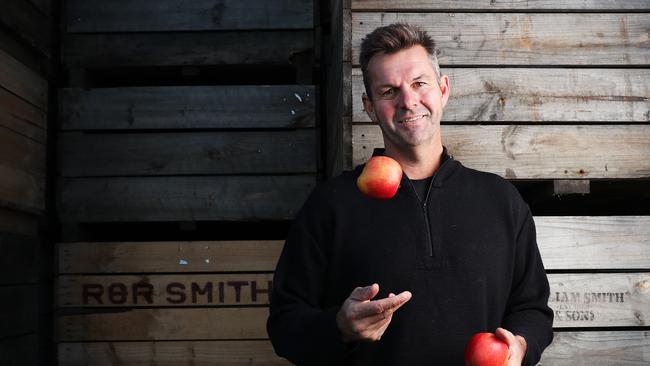 Andrew Smith of R&amp;R Smith with the new variety of apple yet to be named that has been created in partnership with Woolworths. Picture: Nikki Davis-Jones