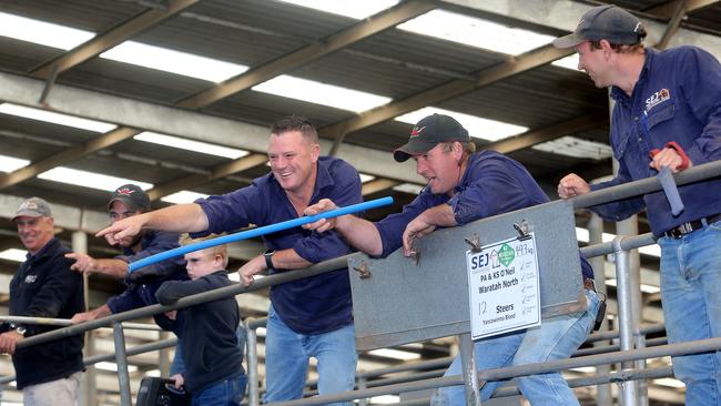 SEJ auctioneer Jimmy Kyle, from Leongatha. Picture: Yuri Kouzmin