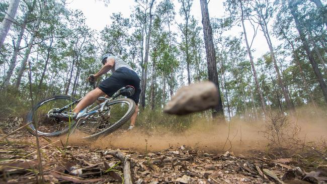 Go for a spin in Bunyaville Conservation Park. Picture: Dominika Lis