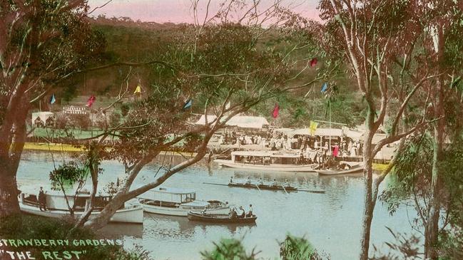 A part of the Fairyland Pleasure Grounds in Lane Cove. Picture: State Library of NSW